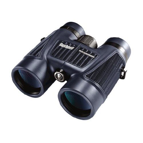 10x42 Black Roof BAK-4 Bushnell
