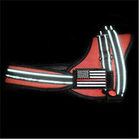 Harness With Patch
